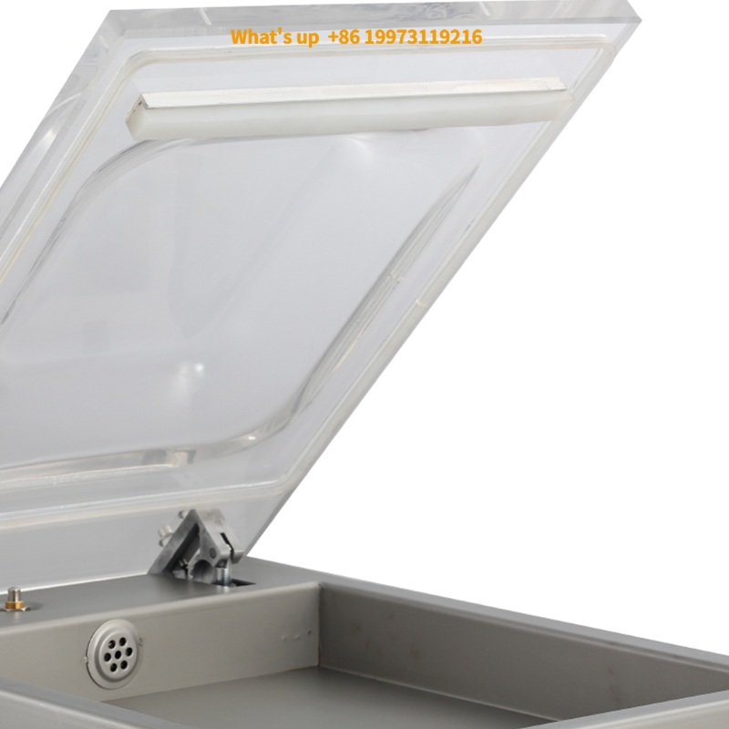 Food Storage Brands - 2026 DZ260 工場価格 新品 デスクトップ小型真空シーラー 肉用真空包装機