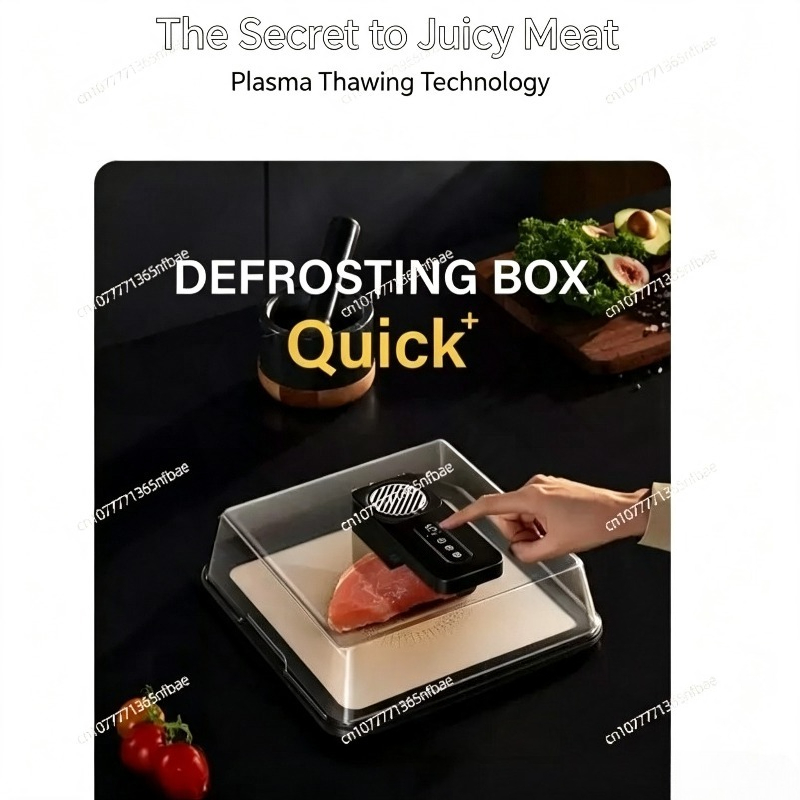 Type-C充電式解凍ボックス 超高速鮮度保持機 牛肉冷凍食 - Food Storage Frozen のレビューと価格