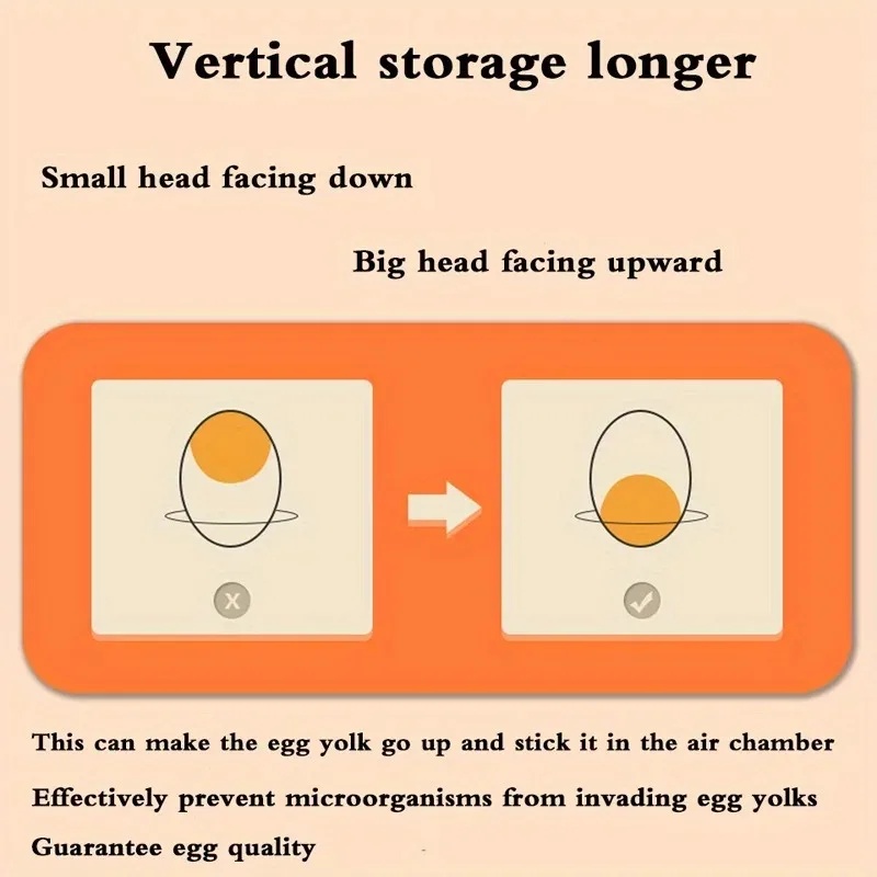 キッチン用卵収納ボックス 2層引き出し式 冷蔵庫用鮮度保持ホ - Egg Storage Holder のレビューと価格