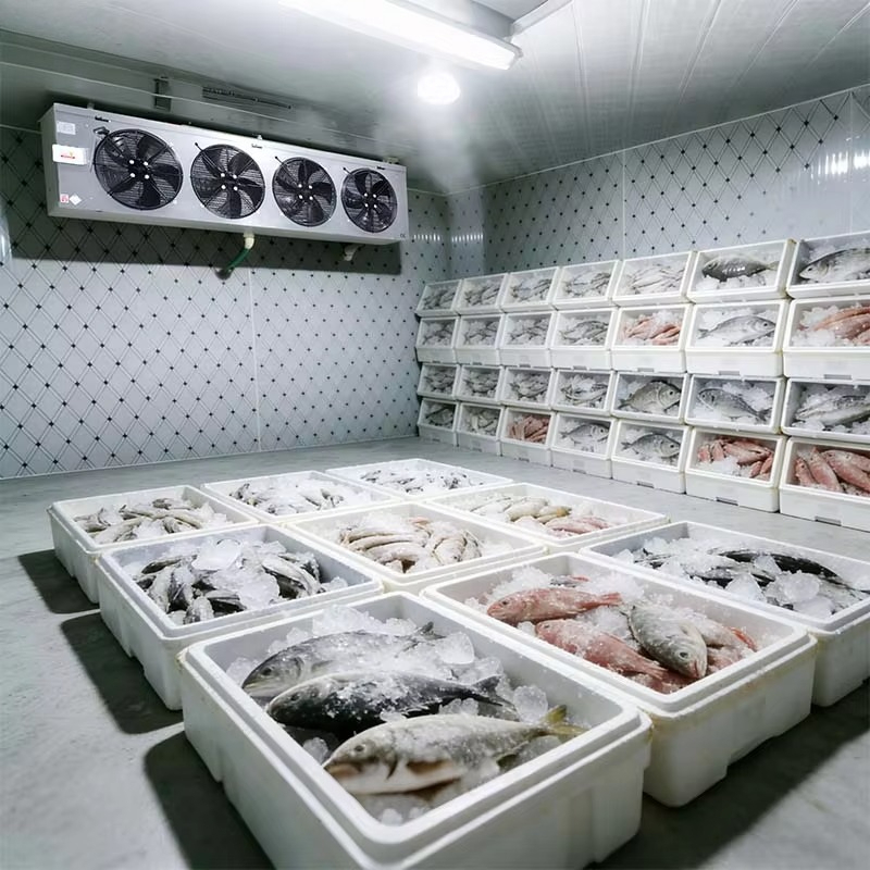カスタマイズ可能な食品グレード冷蔵室、衛生的で簡単清掃、ウォ - Food Storage Food Safety のレビューと価格
